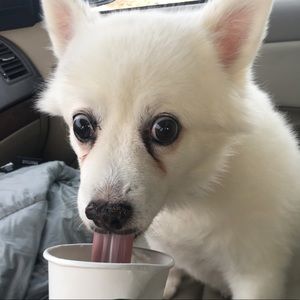 Meet your Posher, Stephen